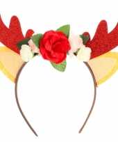 Kerst rendier gewei met bloemen tiara diadeem